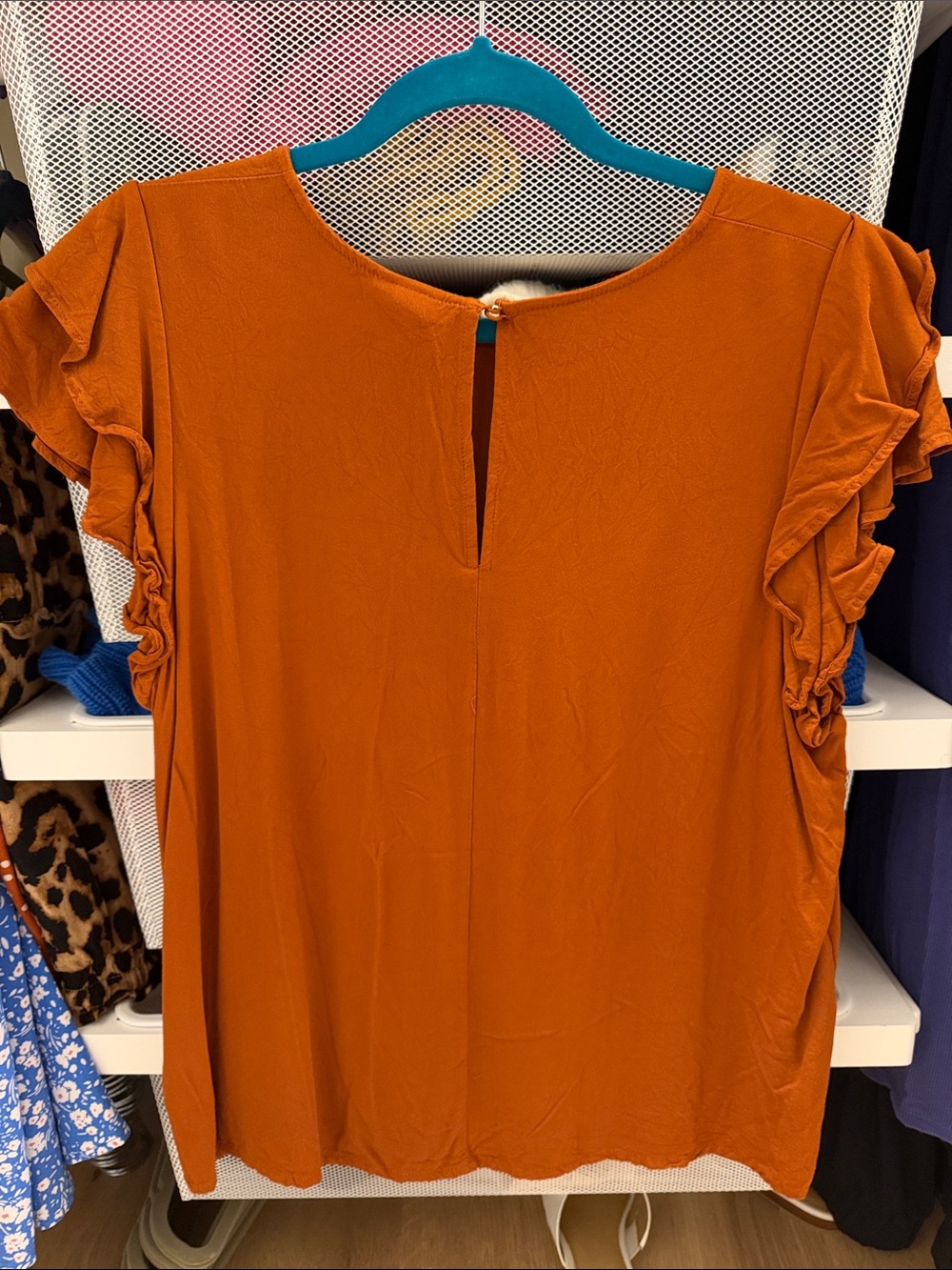 Rust Ruffle Sleeve Women's Top - Picture 3 of 3